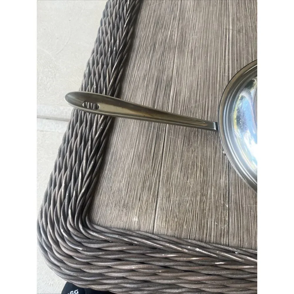 All-Clad Stainless Steel 10